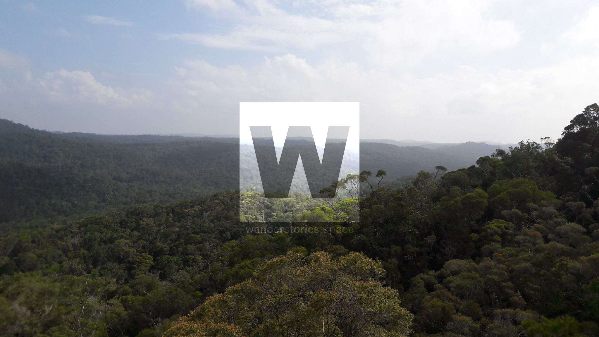 Wilfred's Lookout