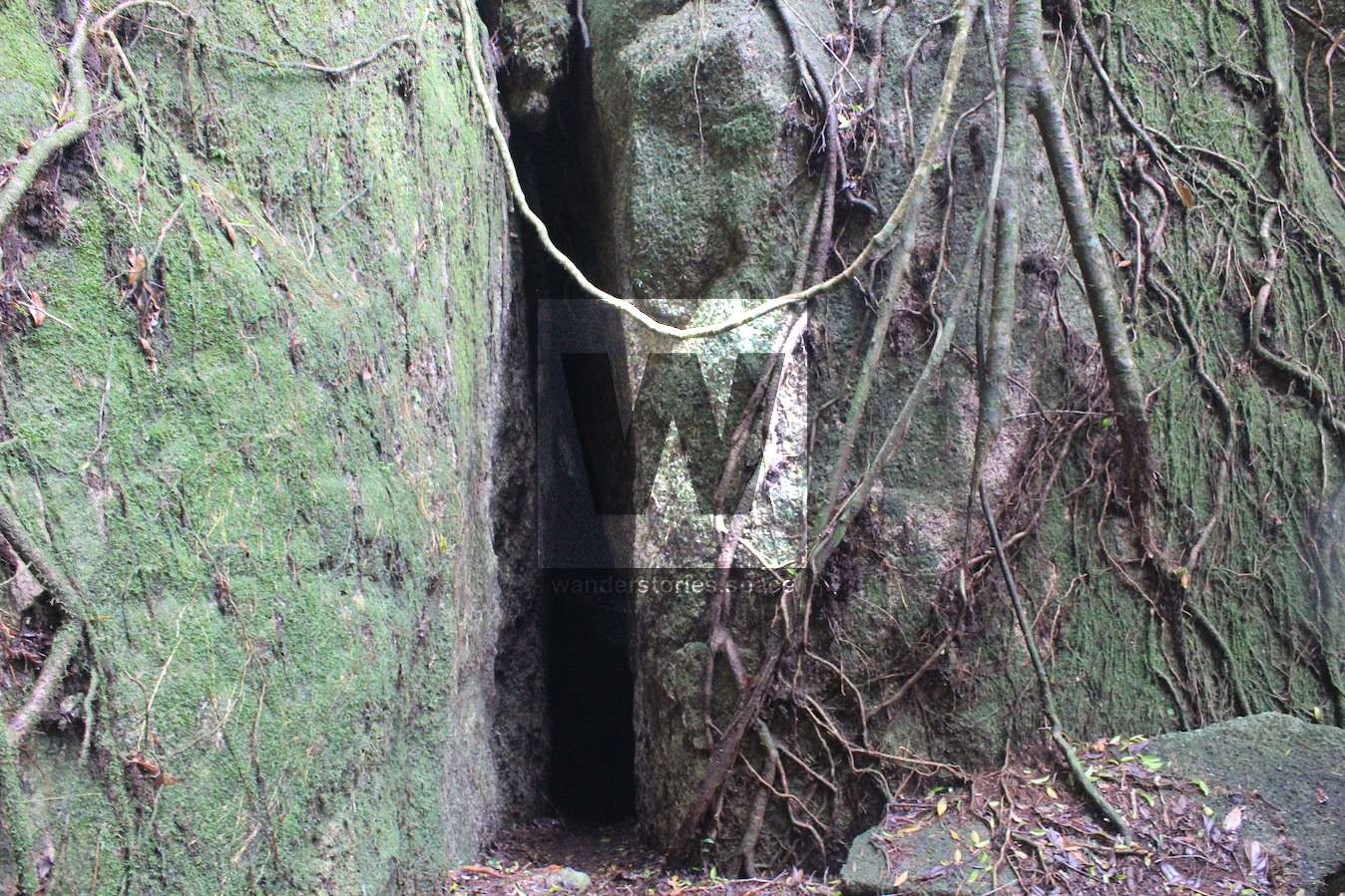 The bat cave entrance at Torsten's Rock Garden