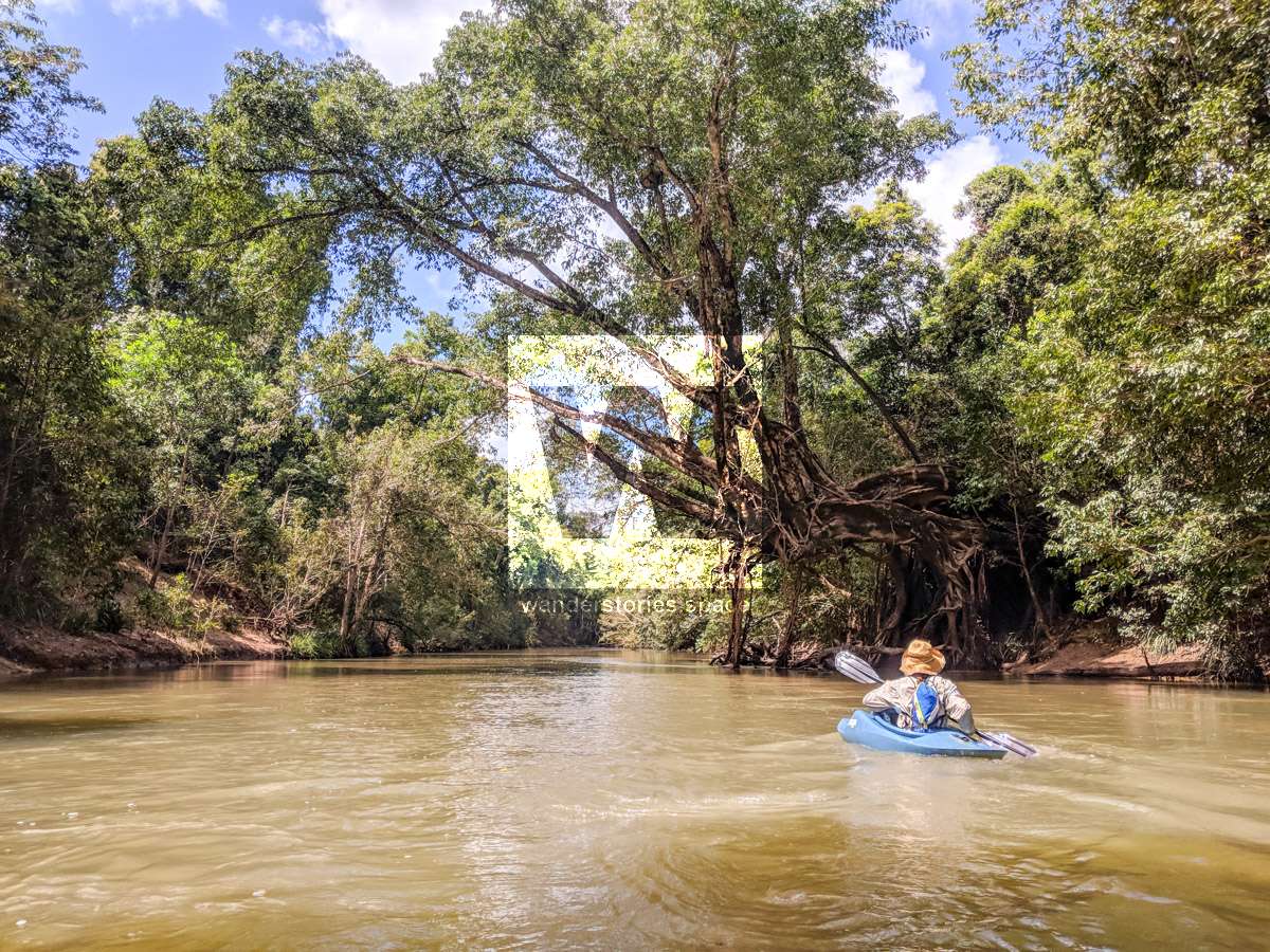 Kayaking down Broadwater Creek, Abergowrie State Forest, Queensland, Australia