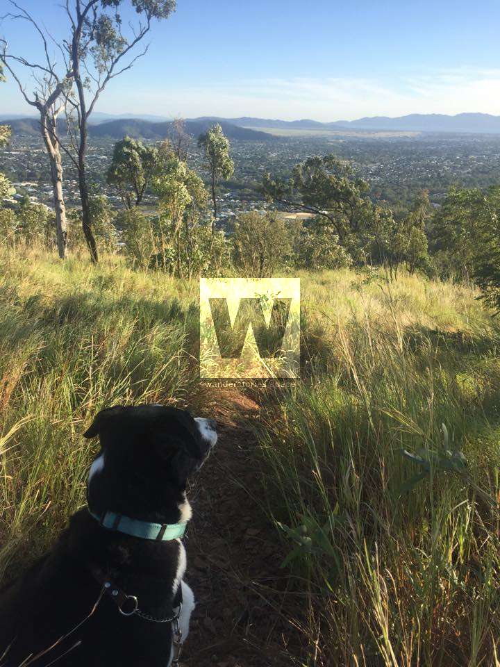 Dog walking track at Mount Louisa, Townsville