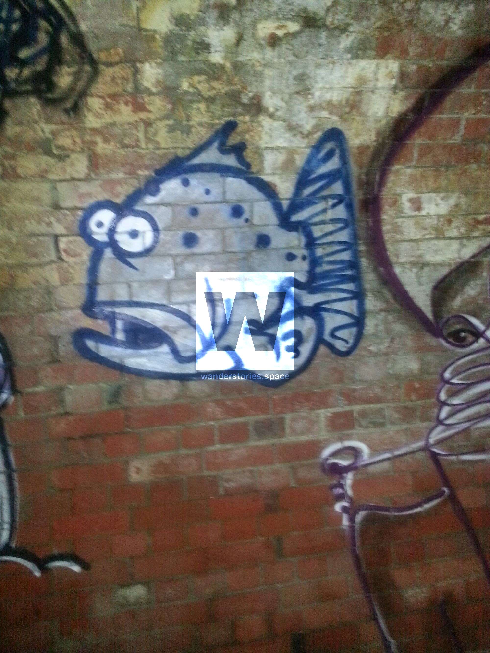 townsville stormwater drain fish graffiti