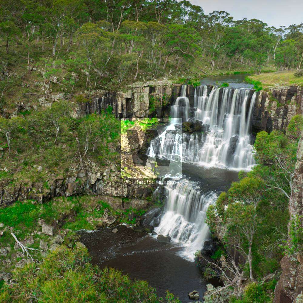 Ebor Falls Waterfalls way New South Wales