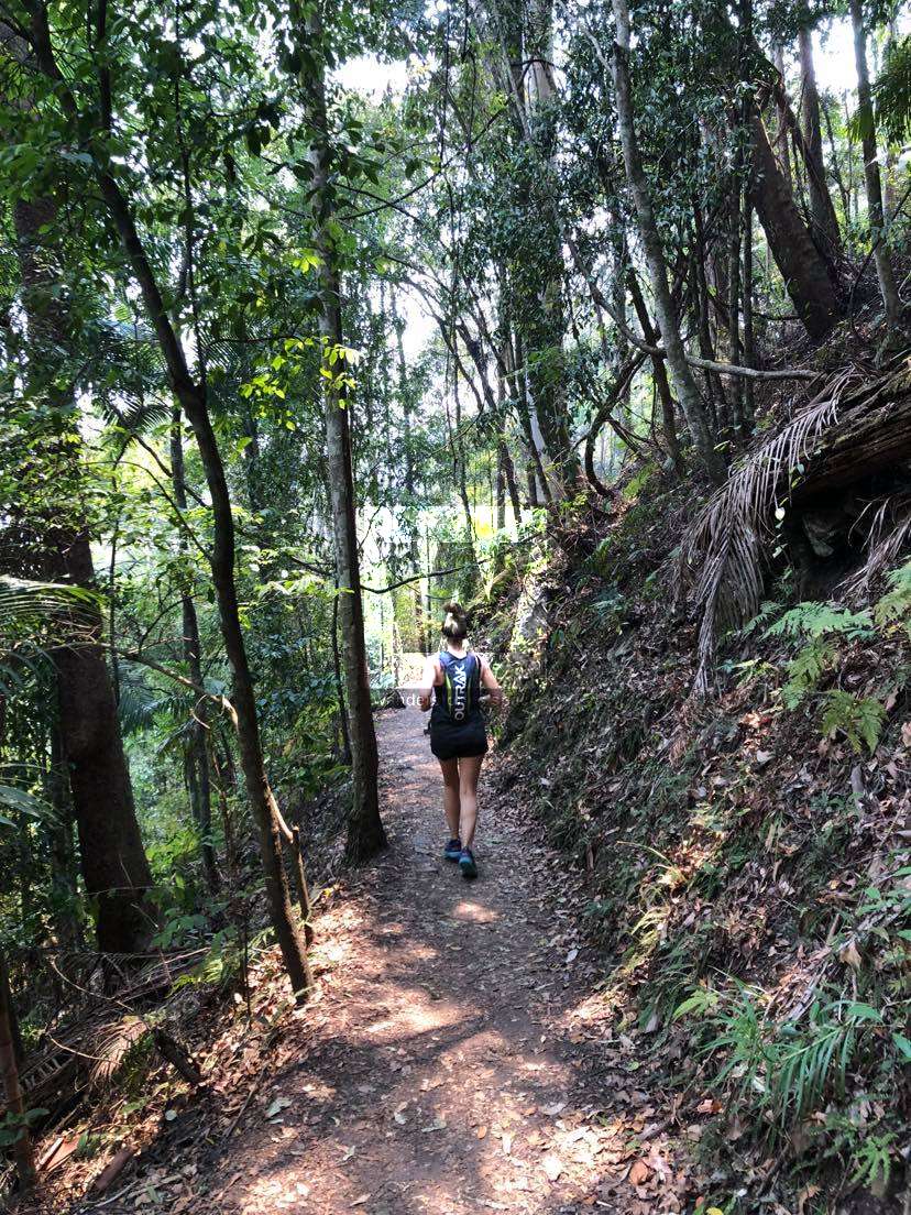 trail running rainforest