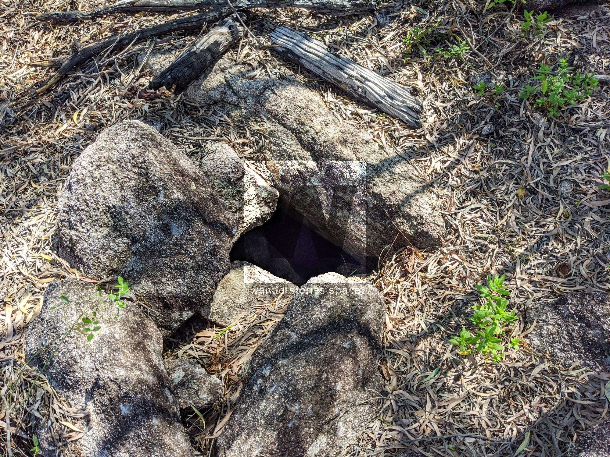 Mt Burrumbush Feltham Cone hole