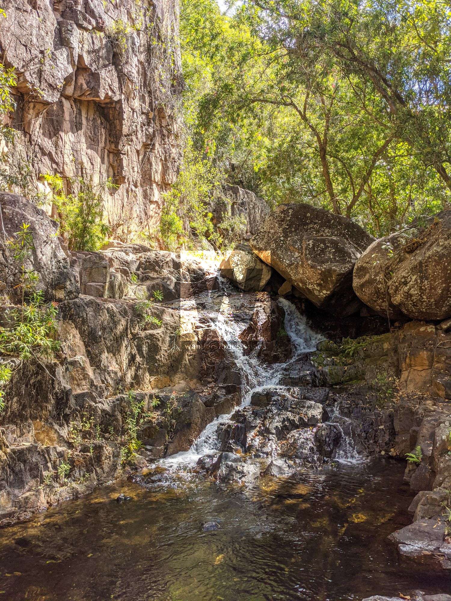 spring creek cascades