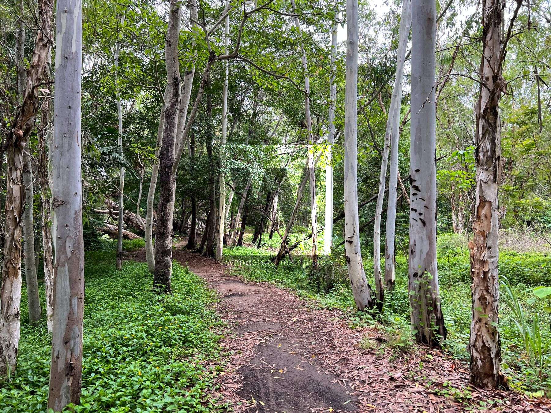 booroona trail path