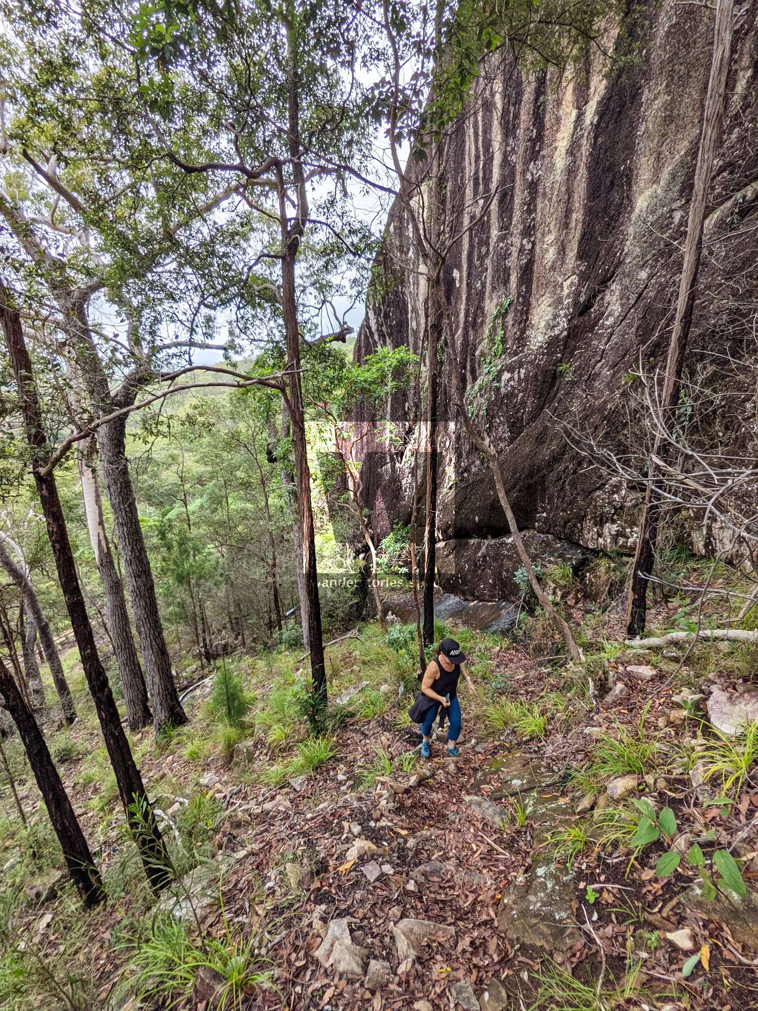 track to top of carrington falls