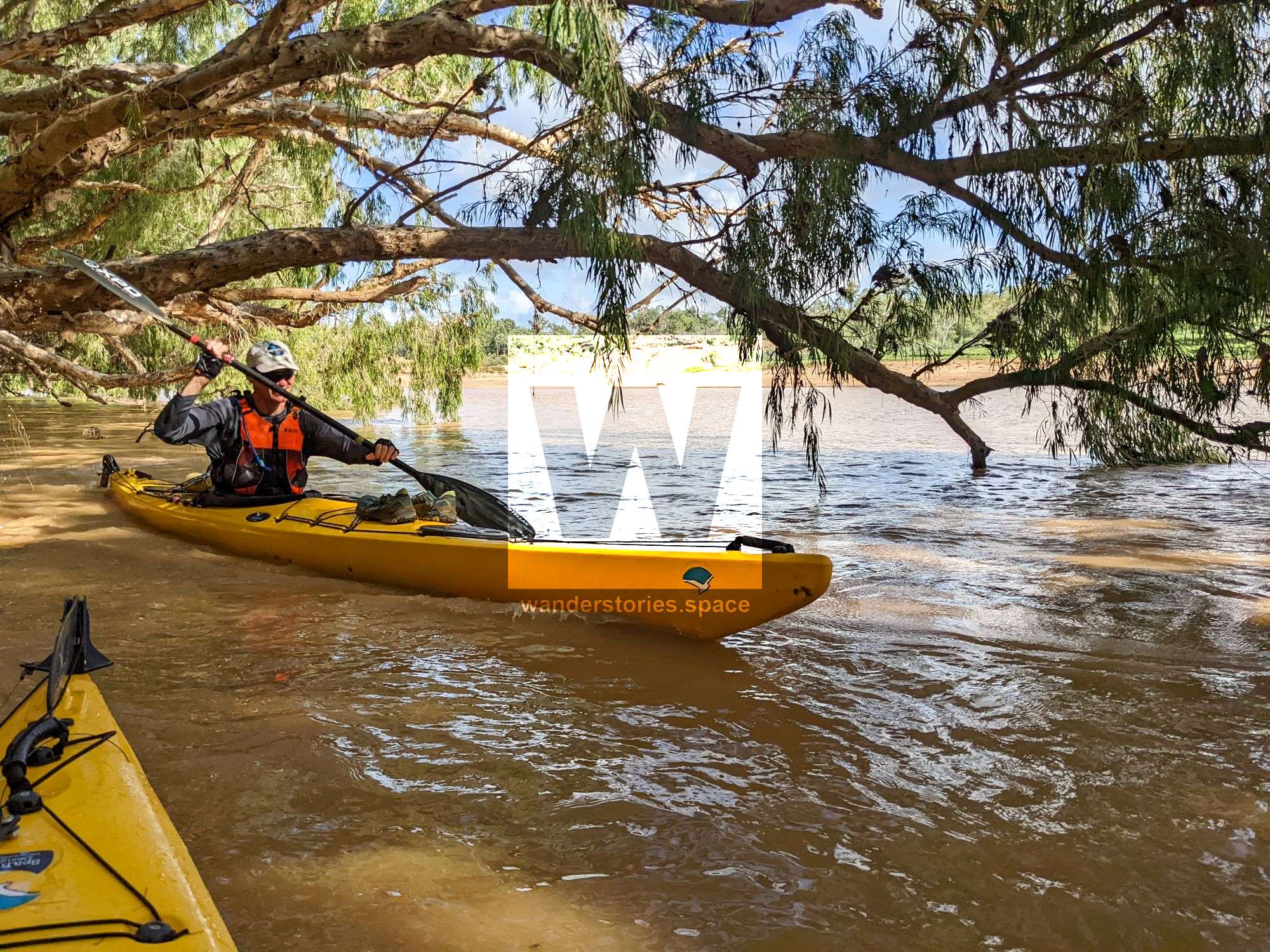 burdekin river tree kayaking