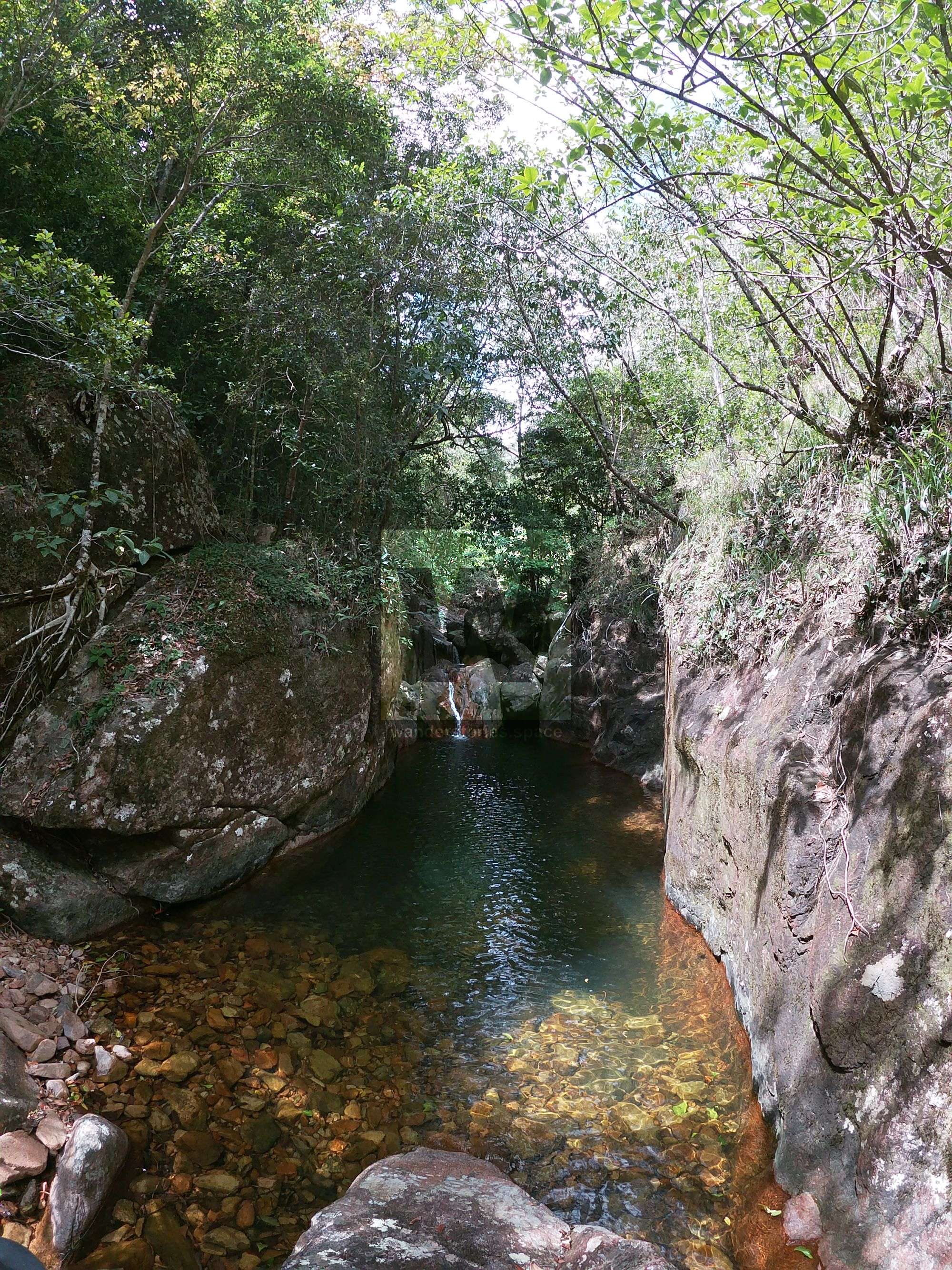 turtle creek canyon