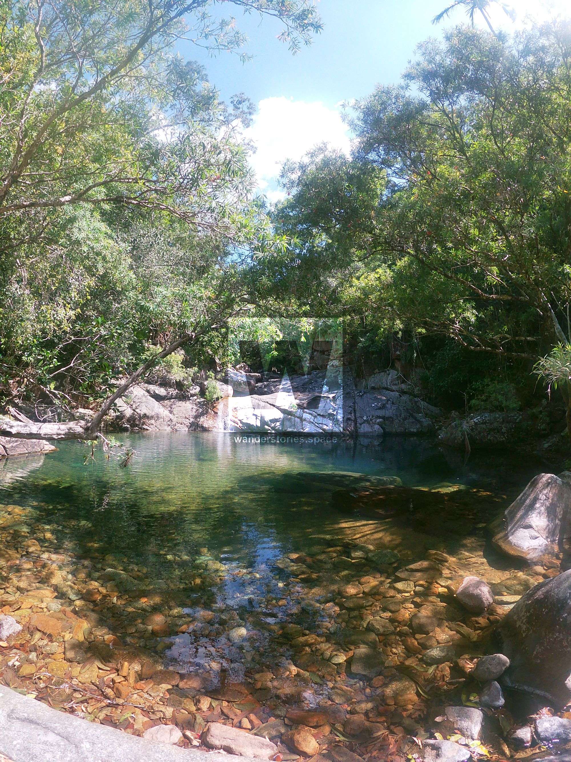 turtle creek pool