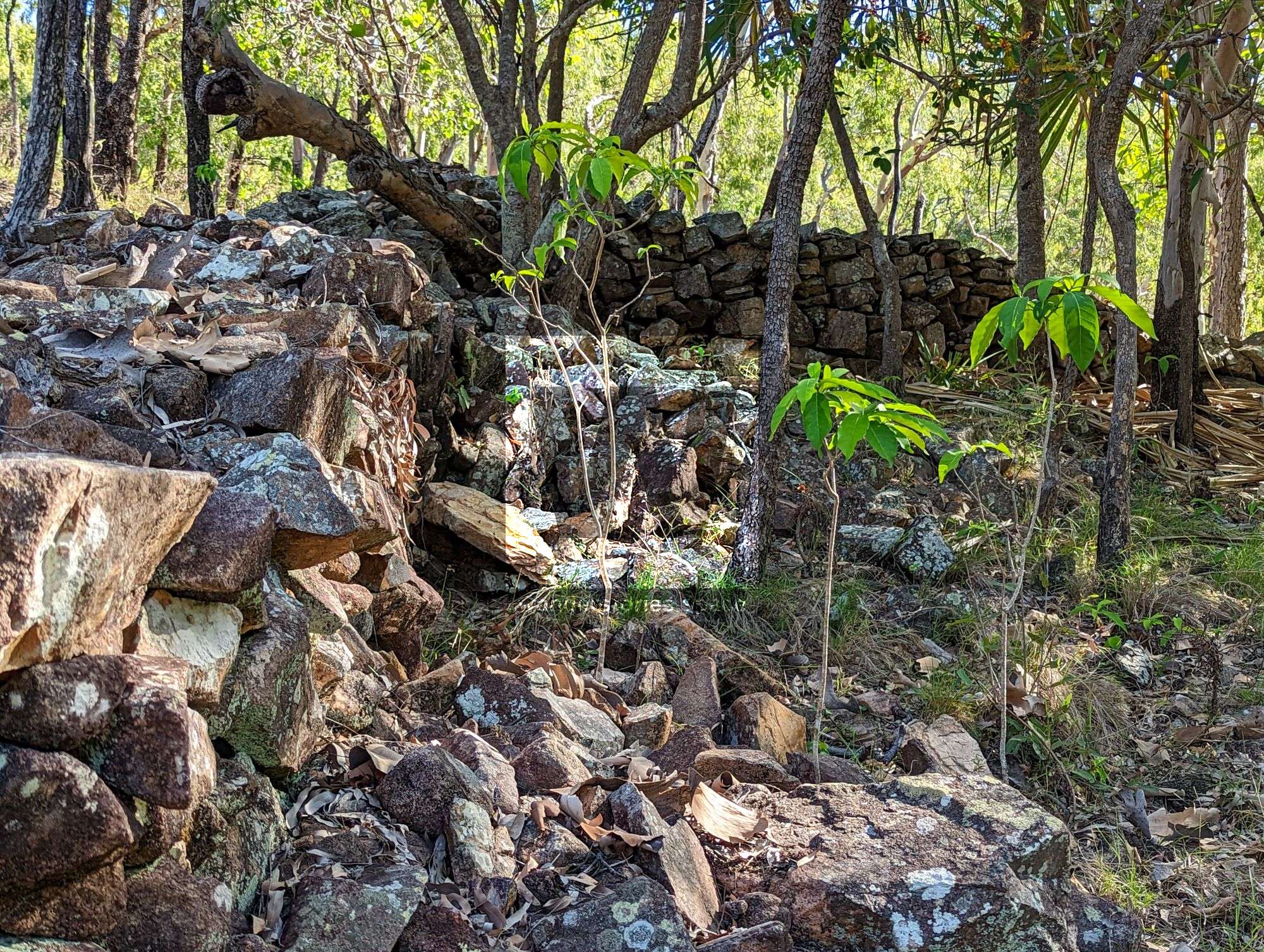 Fantome Island Lock Hospital rock wall remains