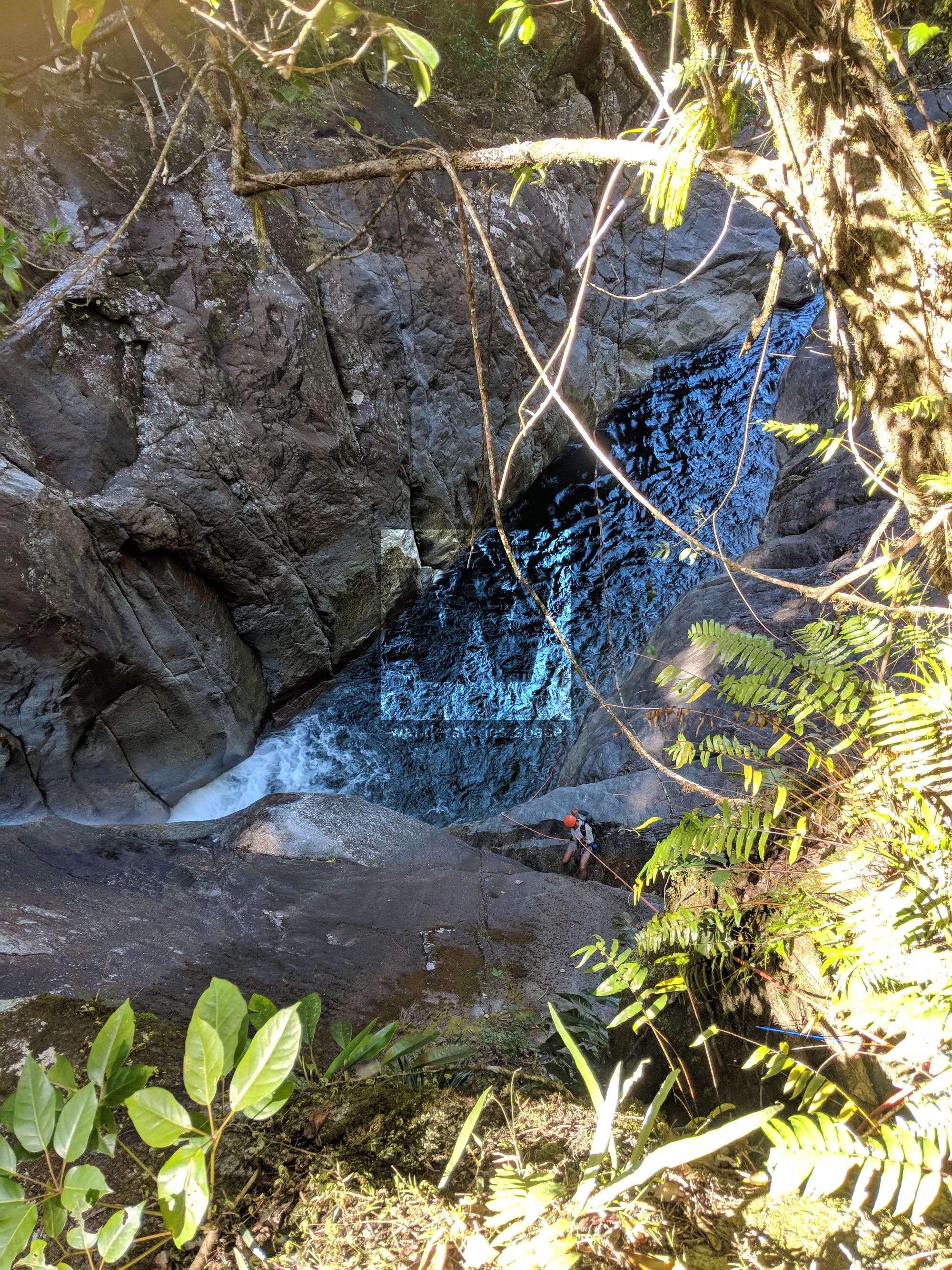 Babinda Creek abseil rappel