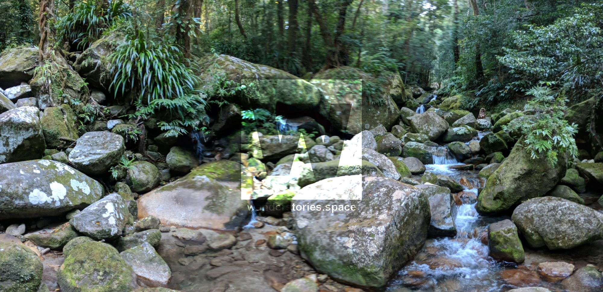 Babinda Creek rainforest upper creek