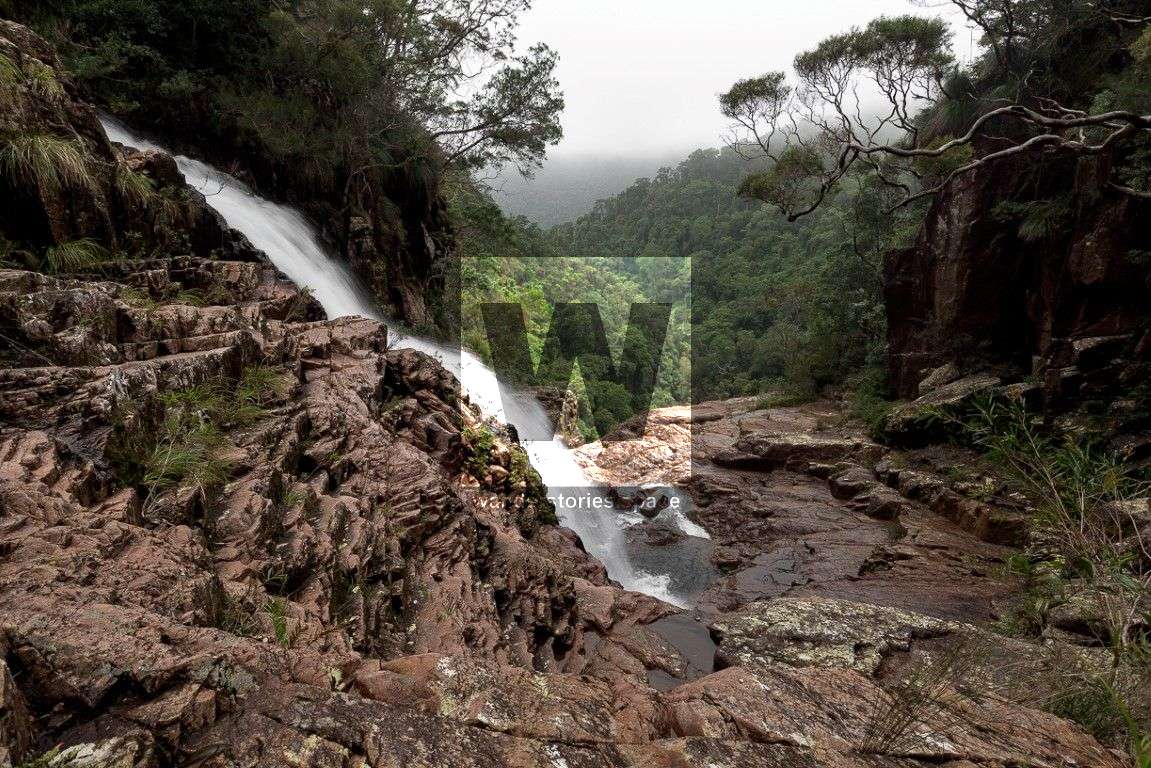 Crystal Falls - The best half-day hike near Townsville, Queensland