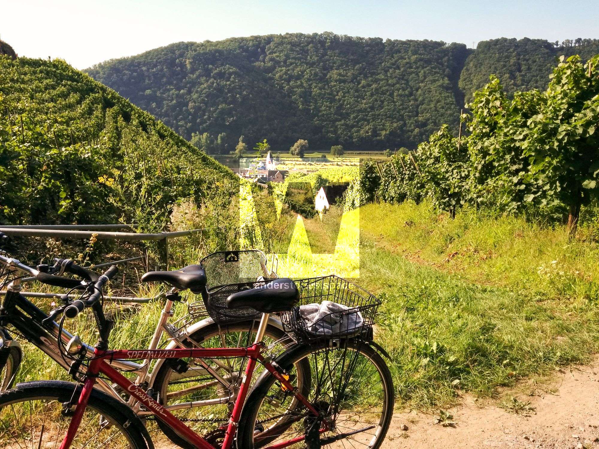 Moselle Cycle Route - Fellering to Trier to Koblenz