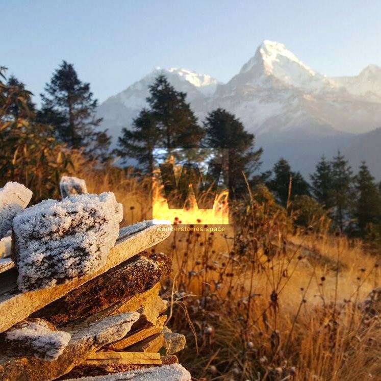 Poon Hill Trek from Pokhara
