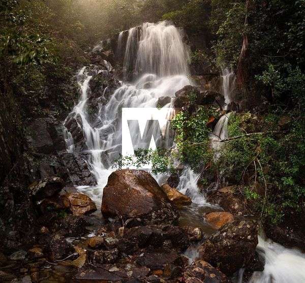 Paluma Range Road Waterfalls