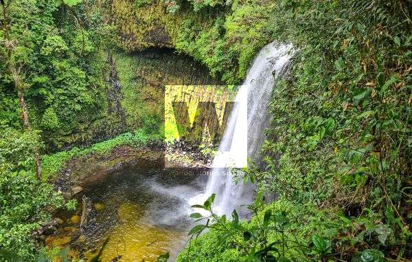 The best-kept secret waterfalls of Cairns